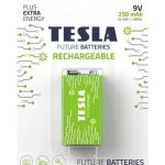 Tesla batteries AAA Gren 800mAh