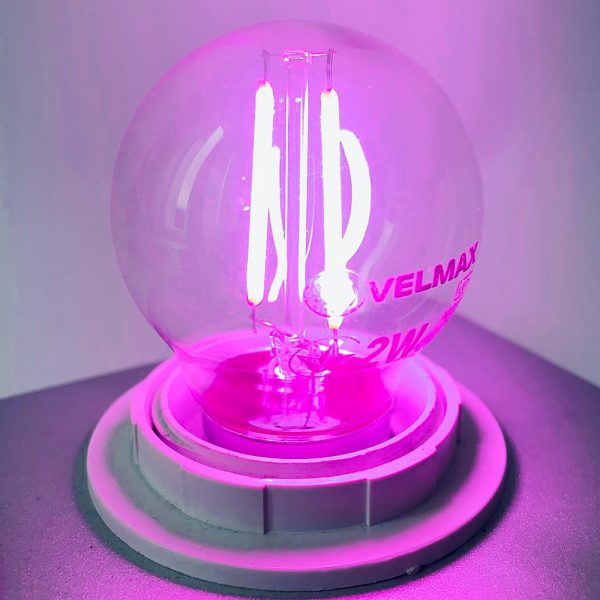 LED лампа VELMAX V-Filament-G45 2W. E27 фіолетовий 200Lm